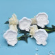 8 Different Flower Shape Plunger Cutter