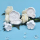 8 Different Flower Shape Plunger Cutter