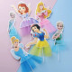 Disney Princess Sofia Paper Topper with Net Skirt