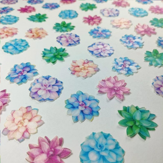 Succulent Flowers Wafer WPC 50 - Tastycrafts