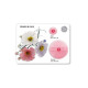 Floral Cutters - Cosmos and Calyx Set of 2