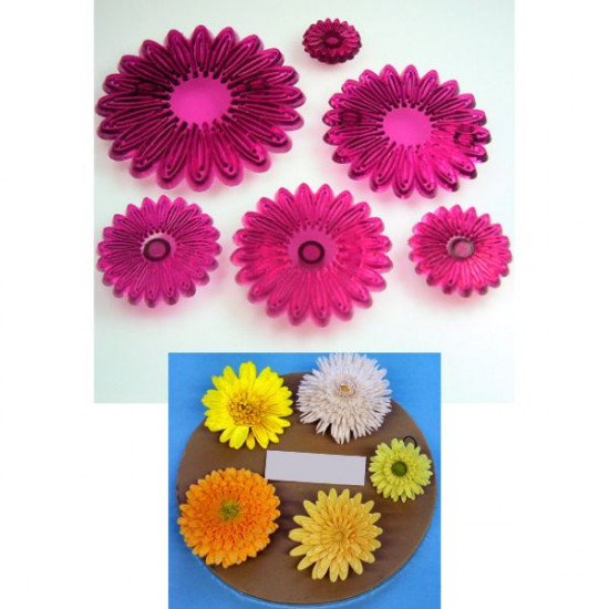 Multi Petal Daisy Gerbera Cutters Set of 6