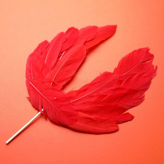 Red Angel Feather Wings Cake Topper