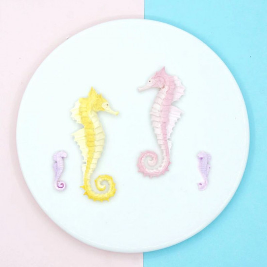 Seahorse Silicone Mould